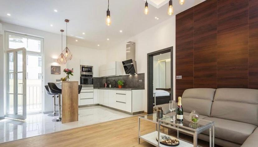Luxury Apartment On Wenceslas Square プラハ エクステリア 写真