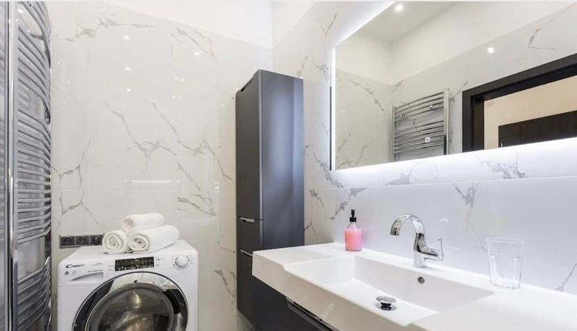 Luxury Apartment On Wenceslas Square プラハ エクステリア 写真