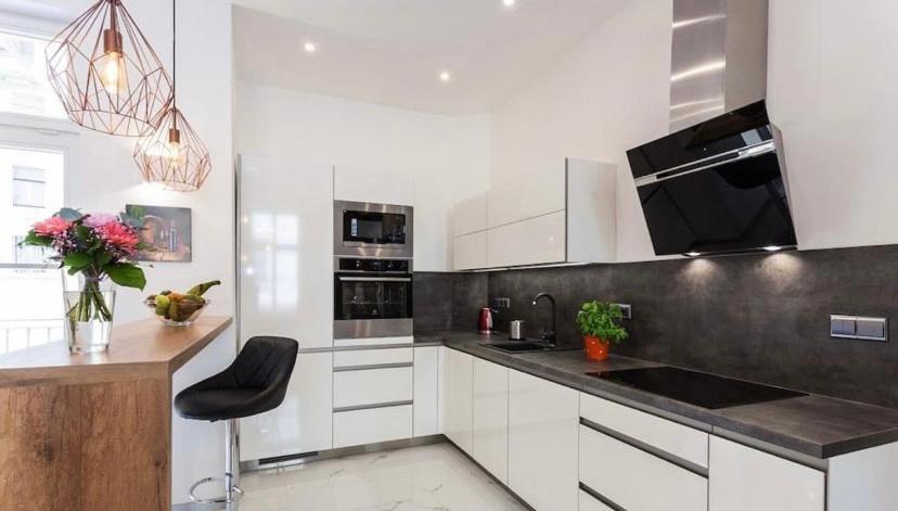 Luxury Apartment On Wenceslas Square プラハ エクステリア 写真